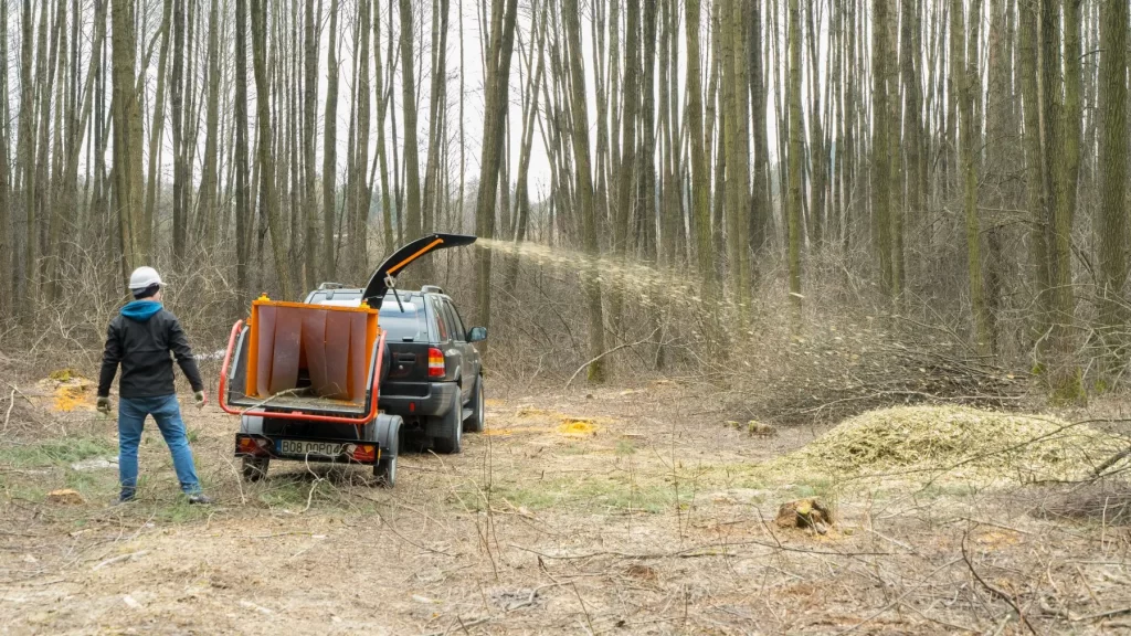 mr15-marzec-2021-1-scaled