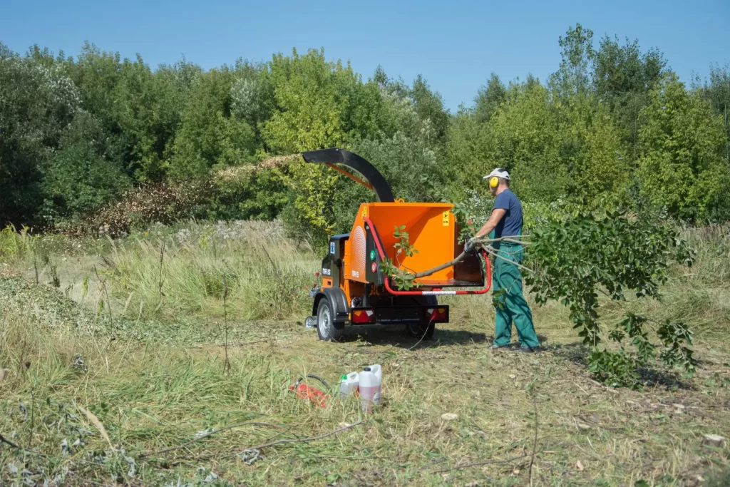 mr15-sierpie-2019-37-scaled